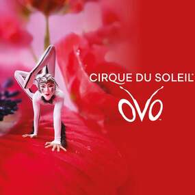Cirque du Soleil - OVO 23.05.2027 PSD Bank Nürnberg ARENA
