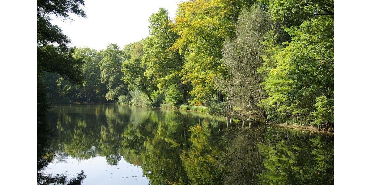 Etagenwohnung Nürnberg Gebersdorf - 1 Zimmer, 26 m&sup2;, 895&euro; | Angebot:27566641