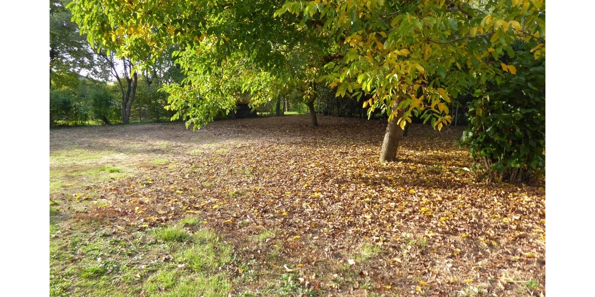 Baugrundstück mit Scheune und vielseitigem Ausbaupotenzial in ruhiger Lage von Amlingstadt!!! - Grundstück Strullendorf-Amlingstadt Amlingstadt | Angebot:27262191
