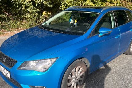 Seat Leon 196.000 km 6.700 &euro; Lauf an der Pegnitz 91207