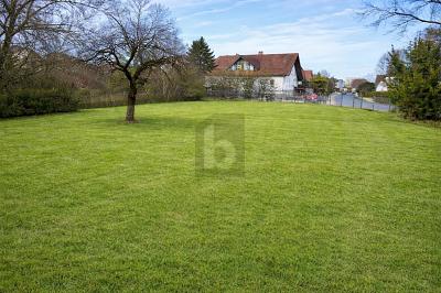 EXKLUSIVER RAUM MIT POTENZIAL - Grundstück Buttenheim | Angebot:27468882