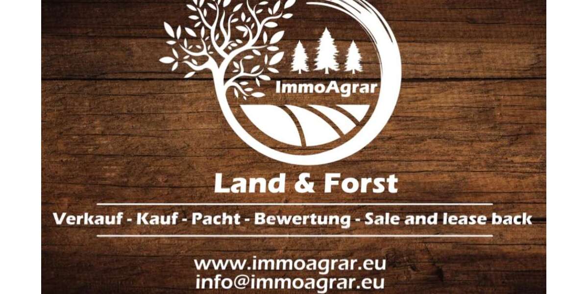 Grundstück Puschendorf - 100.000&euro; | Angebot:27332861