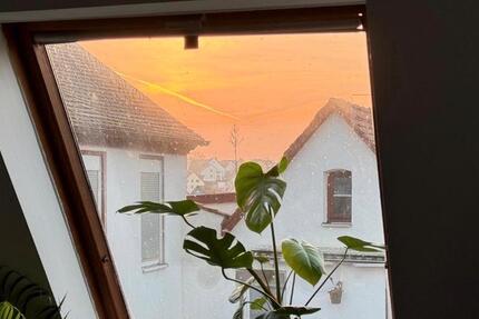 Wohnung Aurachtal - 2 Zimmer, 60 m&sup2;, 700&euro; | Angebot:27577797