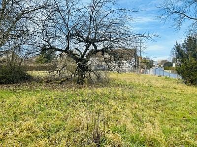 EXKLUSIVER RAUM MIT POTENZIAL - Grundstück Buttenheim | Angebot:27671121