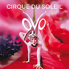 Cirque du Soleil - OVO 23.05.2027 PSD Bank Nürnberg ARENA