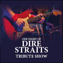 One Night of Dire Straits - Tribute Show 19.08.2027 Serenadenhof Nürnberg